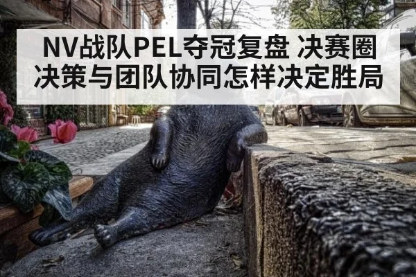 NV战队PEL夺冠复盘 决赛圈决策与团队协同怎样决定胜局